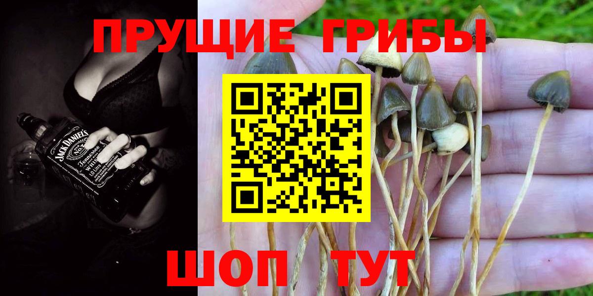 Ялта  Галлюциногенные грибы Psilocybine cubensis  Вход с VPN 